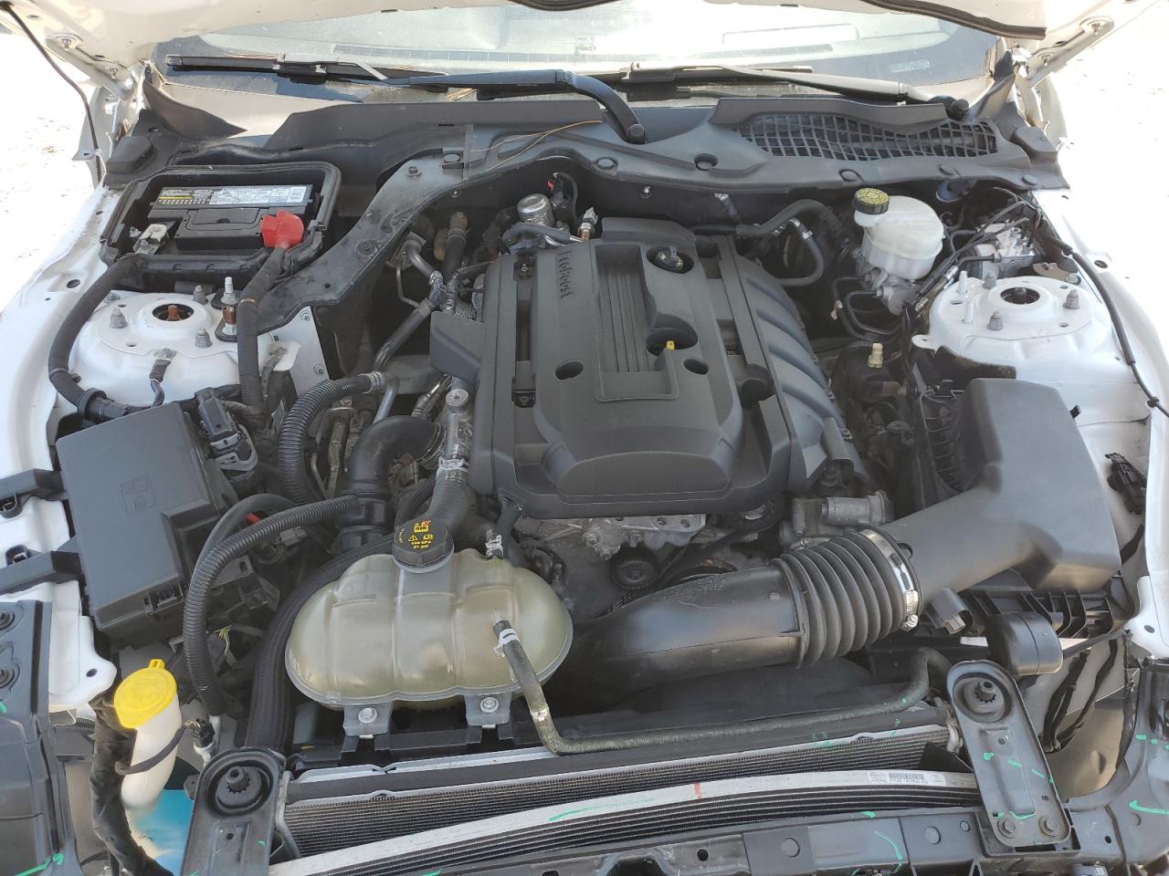 2019 Ford Mustang VIN: 1FA6P8TH9K5204023 Lot: 70132045