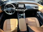 2025 LEXUS RX 350 BASE   for sale at Copart MA - NORTH BOSTON