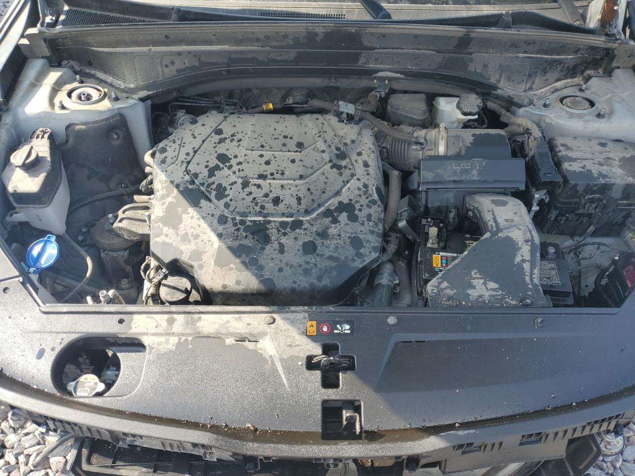 2024 Kia Telluride Sx VIN: 5XYP5DGC1RG526569 Lot: 69287125