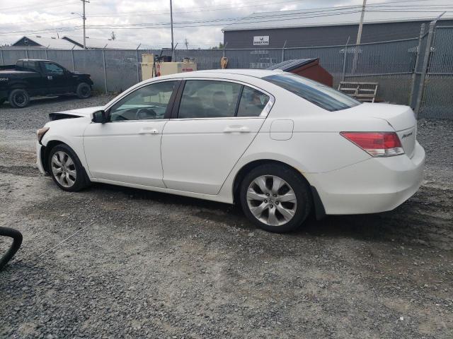 2010 HONDA ACCORD EXL  
