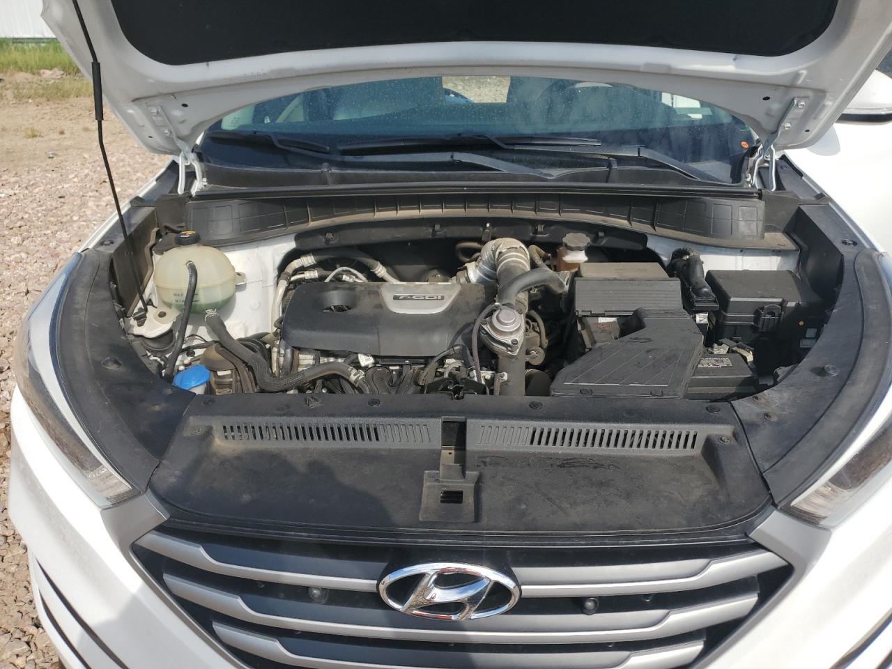 2017 Hyundai Tucson Limited VIN: KM8J33A26HU367384 Lot: 69778985