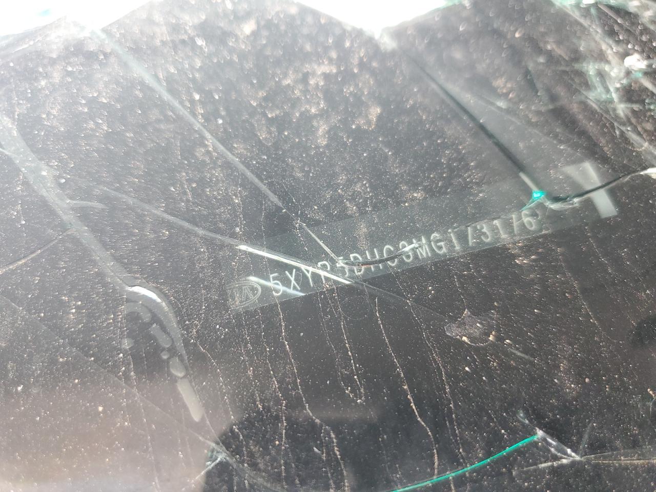 2021 Kia Telluride Sx VIN: 5XYP5DHC3MG173176 Lot: 69606425