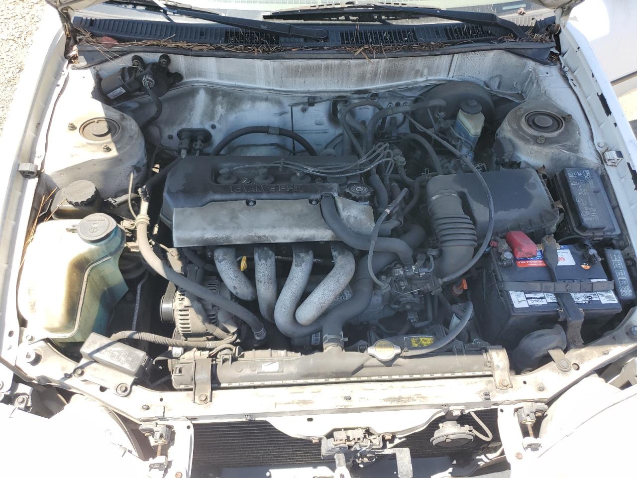 1NXBR12E3XZ168257 1999 Toyota Corolla Ve