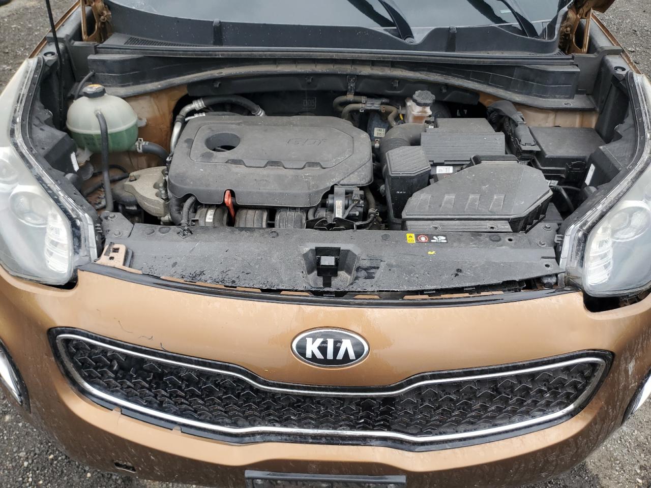 2017 Kia Sportage Lx VIN: KNDPMCAC0H7087687 Lot: 68463715