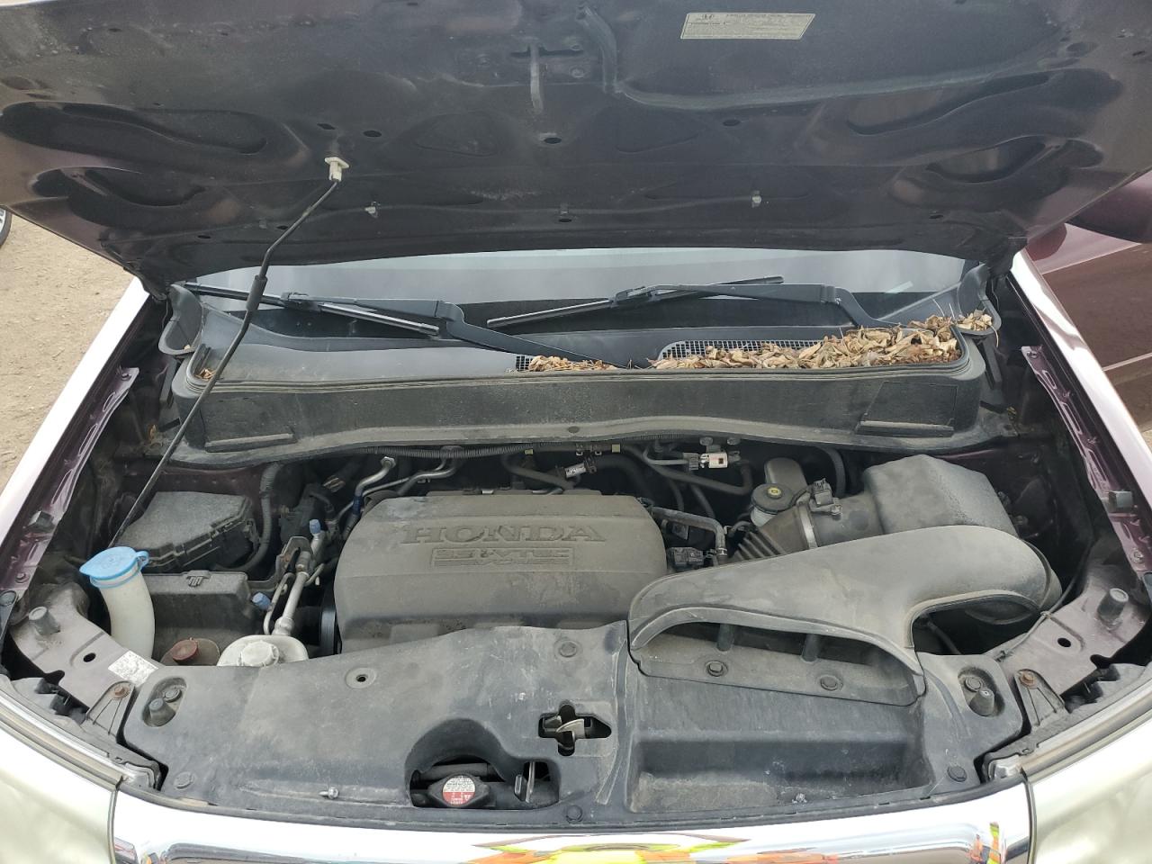 2011 Honda Pilot Exl VIN: 5FNYF4H57BB080085 Lot: 71178865