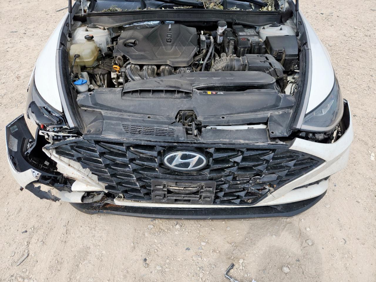 2021 Hyundai Sonata Sel VIN: 5NPEL4JA9MH084548 Lot: 67629385