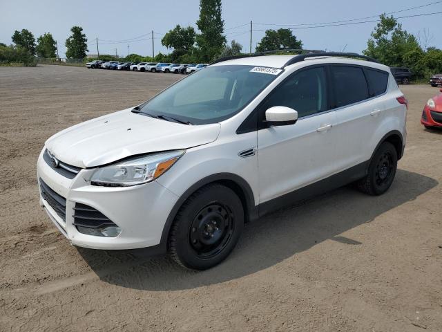 2014 FORD ESCAPE SE   à vendre chez Copart QC - MONTREAL