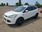 2014 FORD ESCAPE SE   à vendre chez Copart QC - MONTREAL