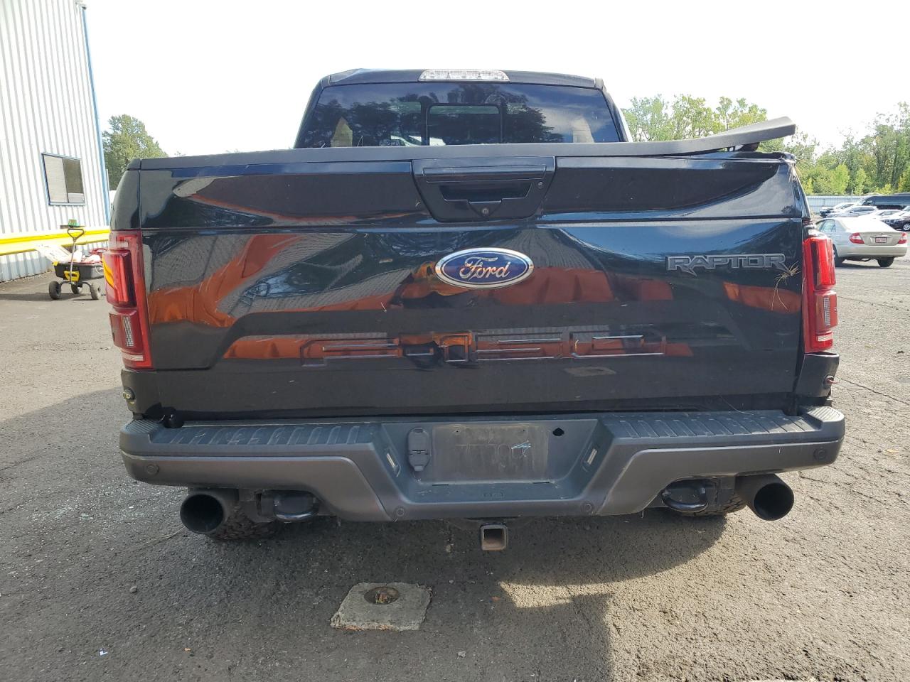 2018 Ford F150 Raptor VIN: 1FTFW1RG0JFD87145 Lot: 69488235