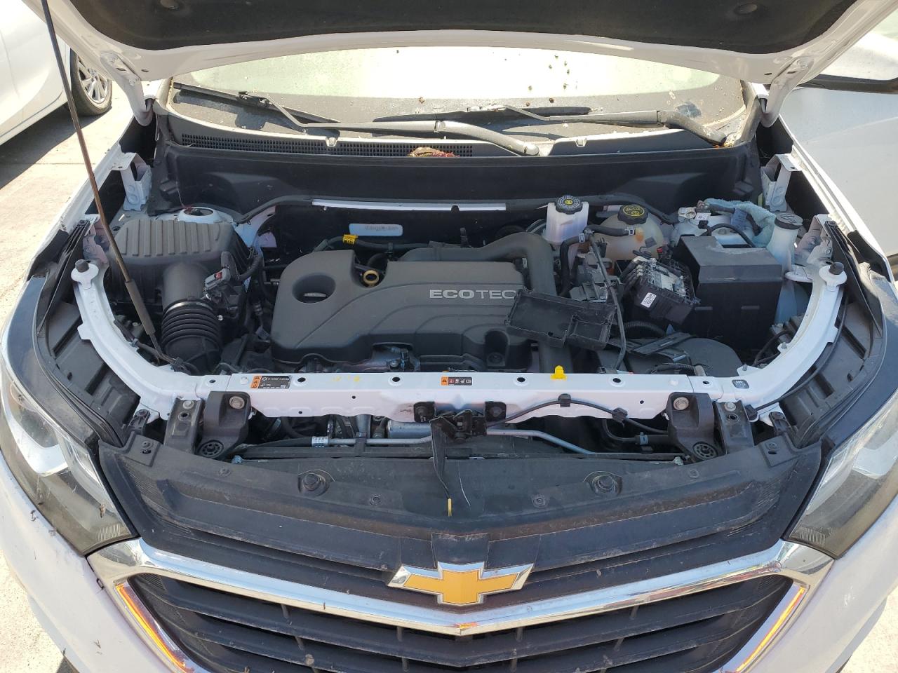 2021 Chevrolet Equinox Lt VIN: 2GNAXTEV3M6135564 Lot: 69763655