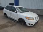 2010 HYUNDAI SANTA FE GLS   for sale at Copart NB - MONCTON