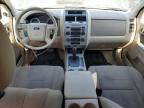 2009 FORD ESCAPE XLT   à vendre chez Copart ON - TORONTO