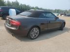 2010 AUDI A5 PREMIUM PLUS   for sale at Copart ON - COOKSTOWN