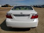 2009 LEXUS LS 460   for sale at Copart AB - EDMONTON
