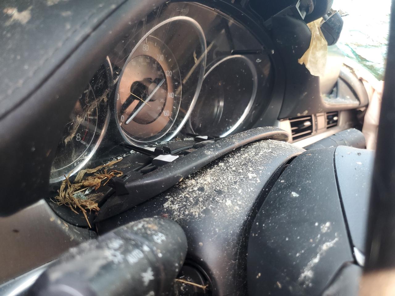 2021 Mazda 6 Touring VIN: JM1GL1VM0M1613937 Lot: 68540785