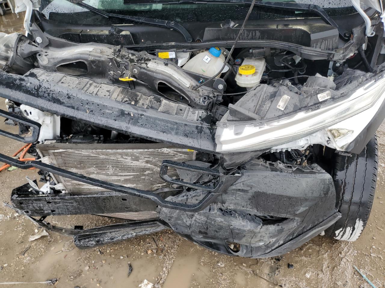 2023 Ram Promaster 2500 2500 High VIN: 3C6LRVDG5PE565604 Lot: 69924565