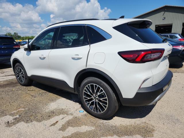  FORD ESCAPE 2024 Белы