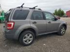 2011 FORD ESCAPE XLT   à vendre chez Copart ON - LONDON