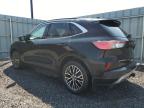 2022 FORD ESCAPE TITANIUM à vendre chez Copart ON - OTTAWA