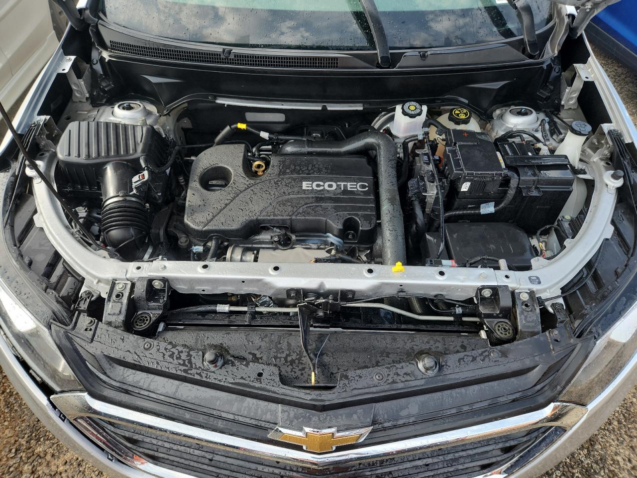 2021 Chevrolet Equinox Lt VIN: 2GNAXTEV3M6141557 Lot: 69067735