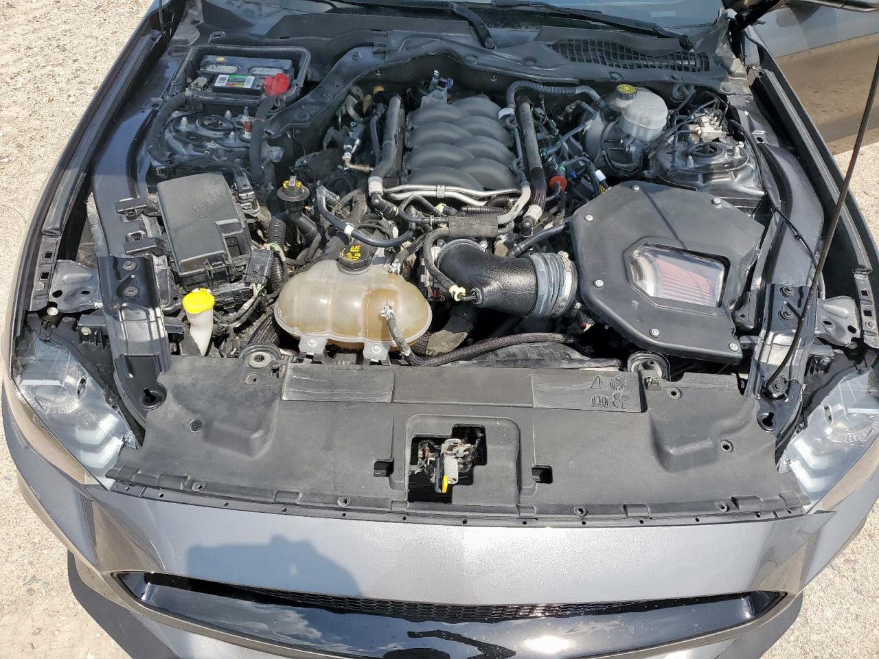 1FA6P8CF0K5135074 2019 Ford Mustang Gt