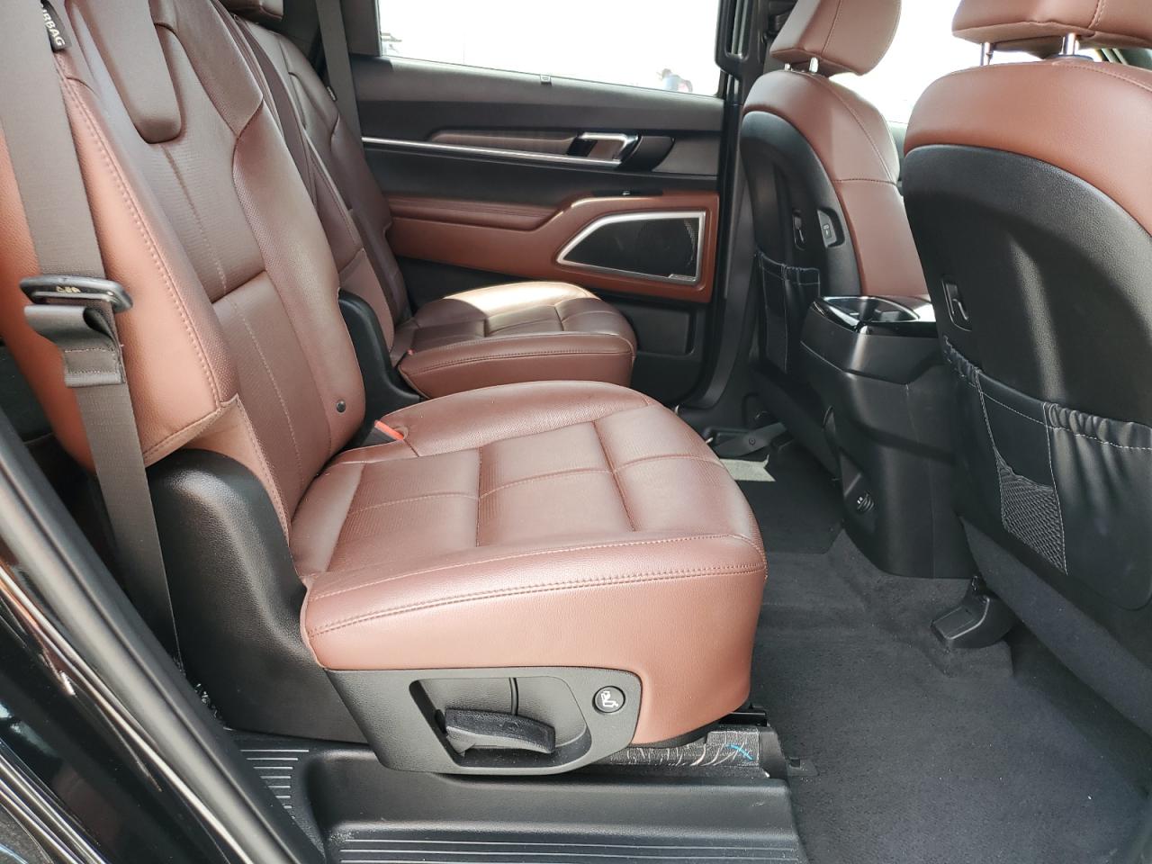 2024 Kia Telluride Ex VIN: 5XYP3DGC9RG433157 Lot: 69045665