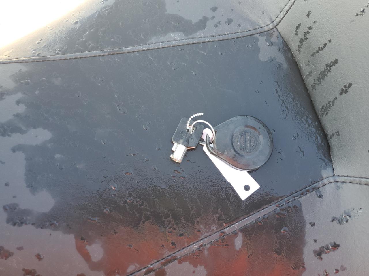 2019 Harley-Davidson Fltrxs VIN: 1HD1KTP14KB606583 Lot: 68668625