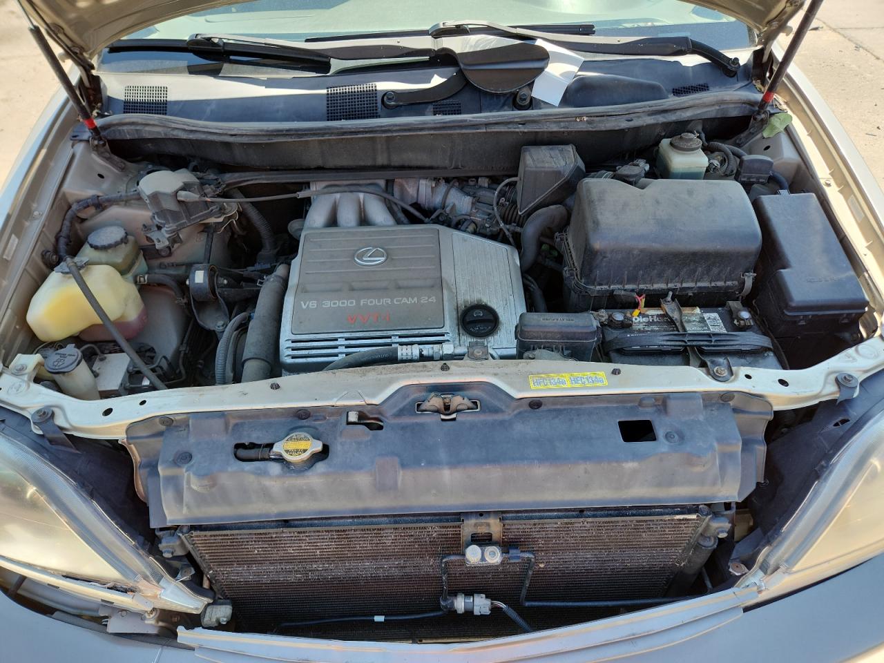 1999 Lexus Rx 300 VIN: JT6HF10U4X0051562 Lot: 69866285