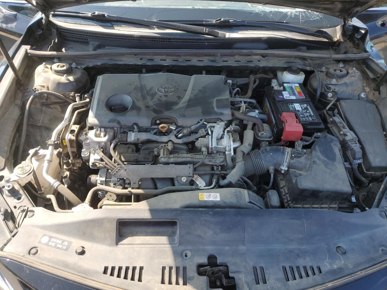 VIII (XV70) VIII (XV70)