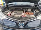 2018 TOYOTA RAV4 HV LE   for sale at Copart NS - HALIFAX