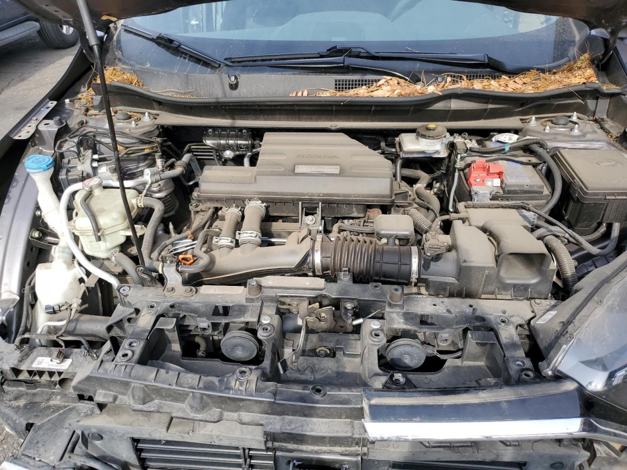 2020 Honda Cr-V Lx VIN: 7FARW2H21LE008769 Lot: 67573285