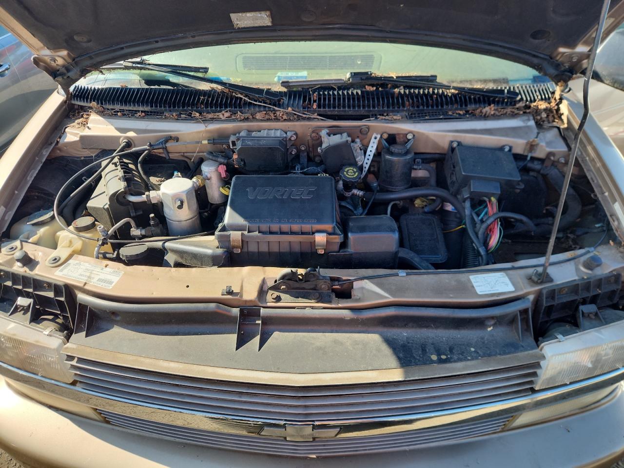 1998 Chevrolet Astro VIN: 1GBDM19W5WB132062 Lot: 67869455