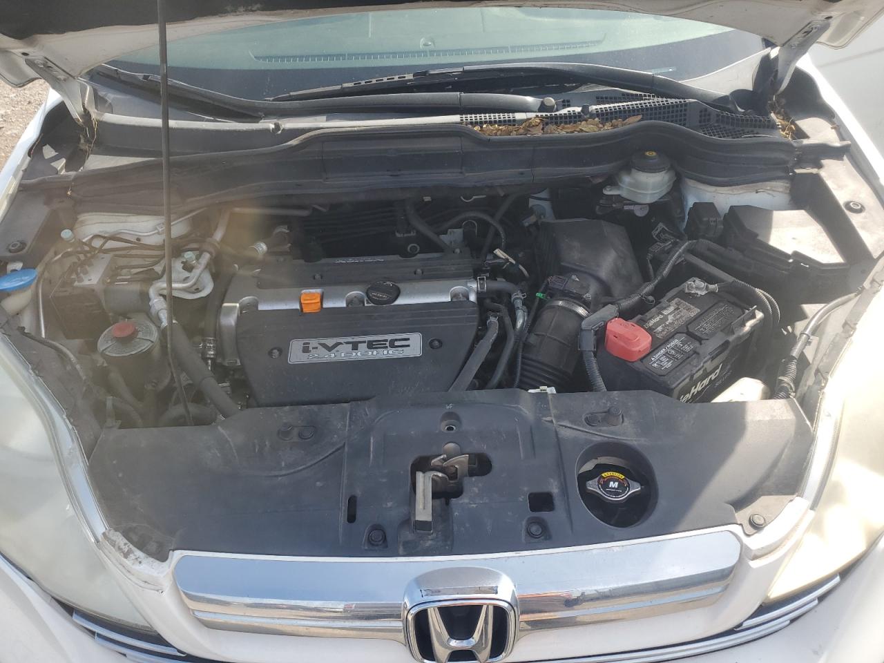 2007 Honda Cr-V Exl VIN: JHLRE48737C079922 Lot: 67765775