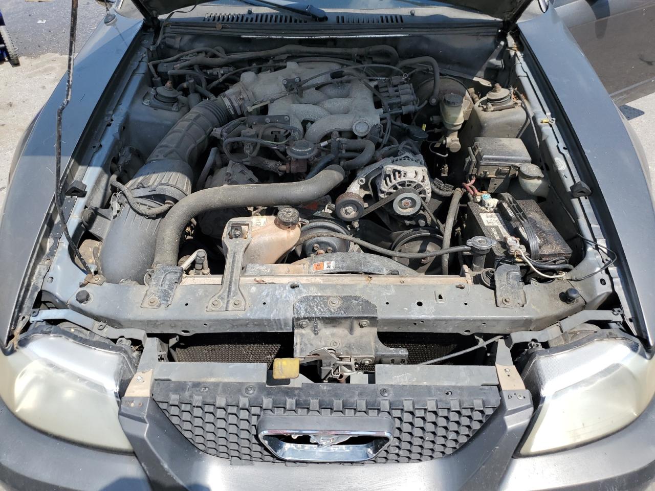 2003 Ford Mustang VIN: 1FAFP40483F451698 Lot: 69123095