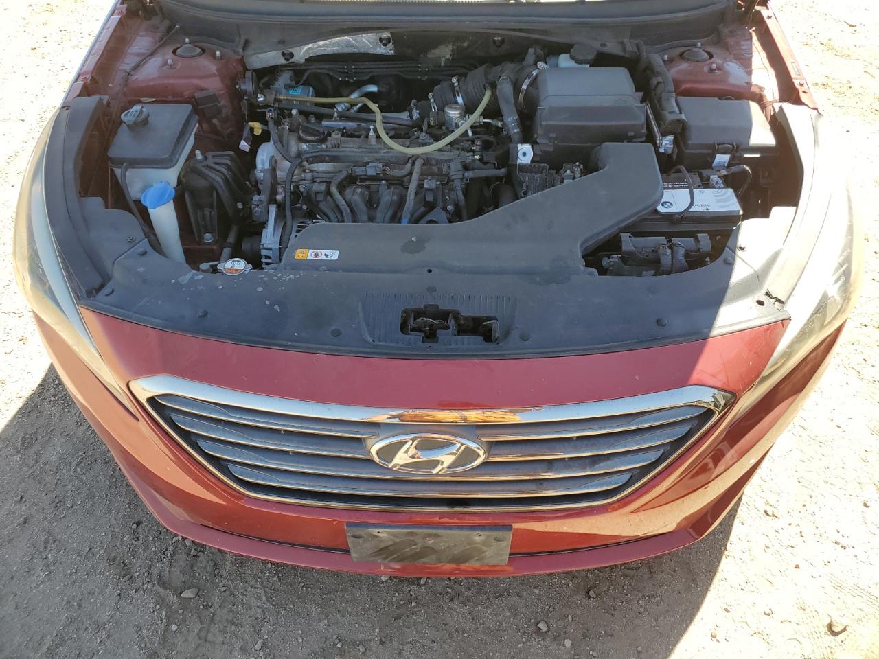 2016 Hyundai Sonata Eco VIN: 5NPE24AA8GH428460 Lot: 69455035