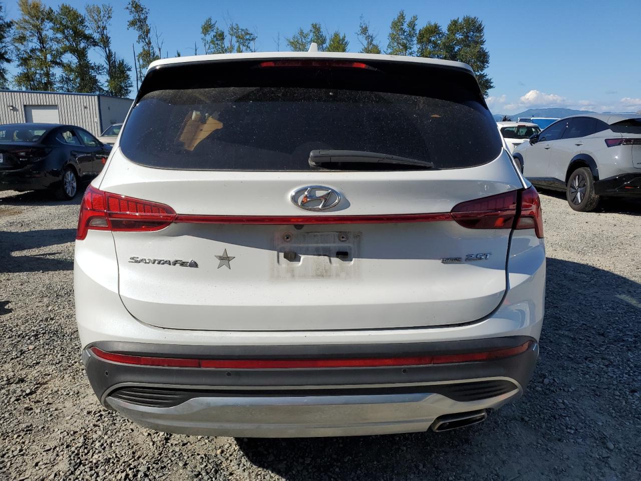 2022 Hyundai Santa Fe Limited VIN: 5NMS4DAL8NH393895 Lot: 69767885