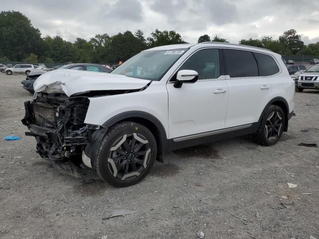  KIA TELLURIDE 2023 Белы