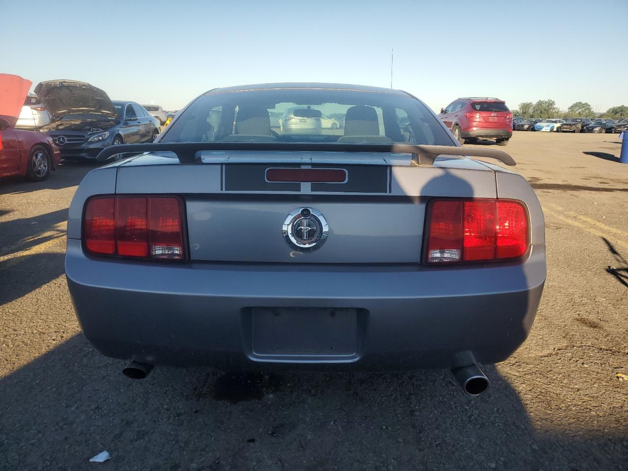 2006 Ford Mustang VIN: 1ZVFT80NX65131568 Lot: 70230575