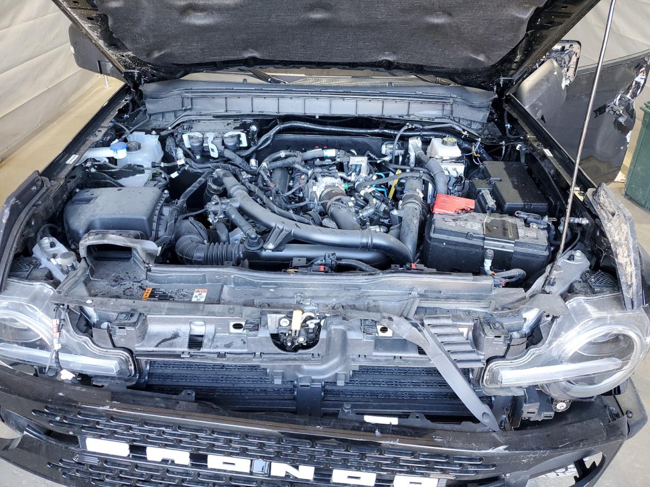 2024 Ford Bronco Wildtrak VIN: 1FMEE2BP6RLA60899 Lot: 69285675