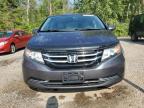 2015 HONDA ODYSSEY EXL   for sale at Copart ON - COOKSTOWN