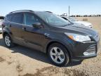 2014 FORD ESCAPE SE   à vendre chez Copart AB - CALGARY