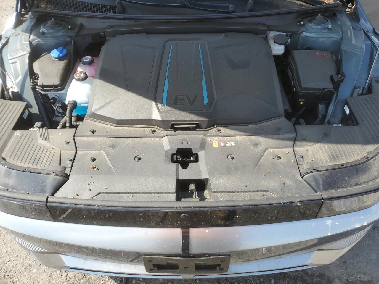 2024 Hyundai Ioniq 5 Limited VIN: KM8KRDDF4RU299224 Lot: 69184395