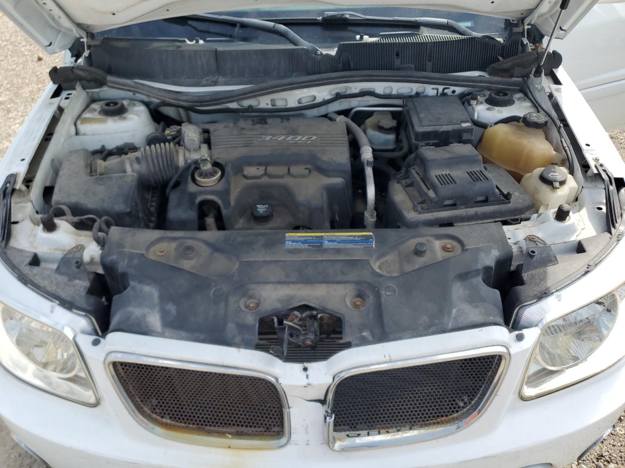 2007 Pontiac Torrent VIN: 2CKDL73F076118559 Lot: 69817395