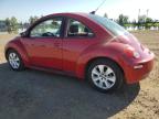 2010 VOLKSWAGEN NEW BEETLE    à vendre chez Copart AB - CALGARY