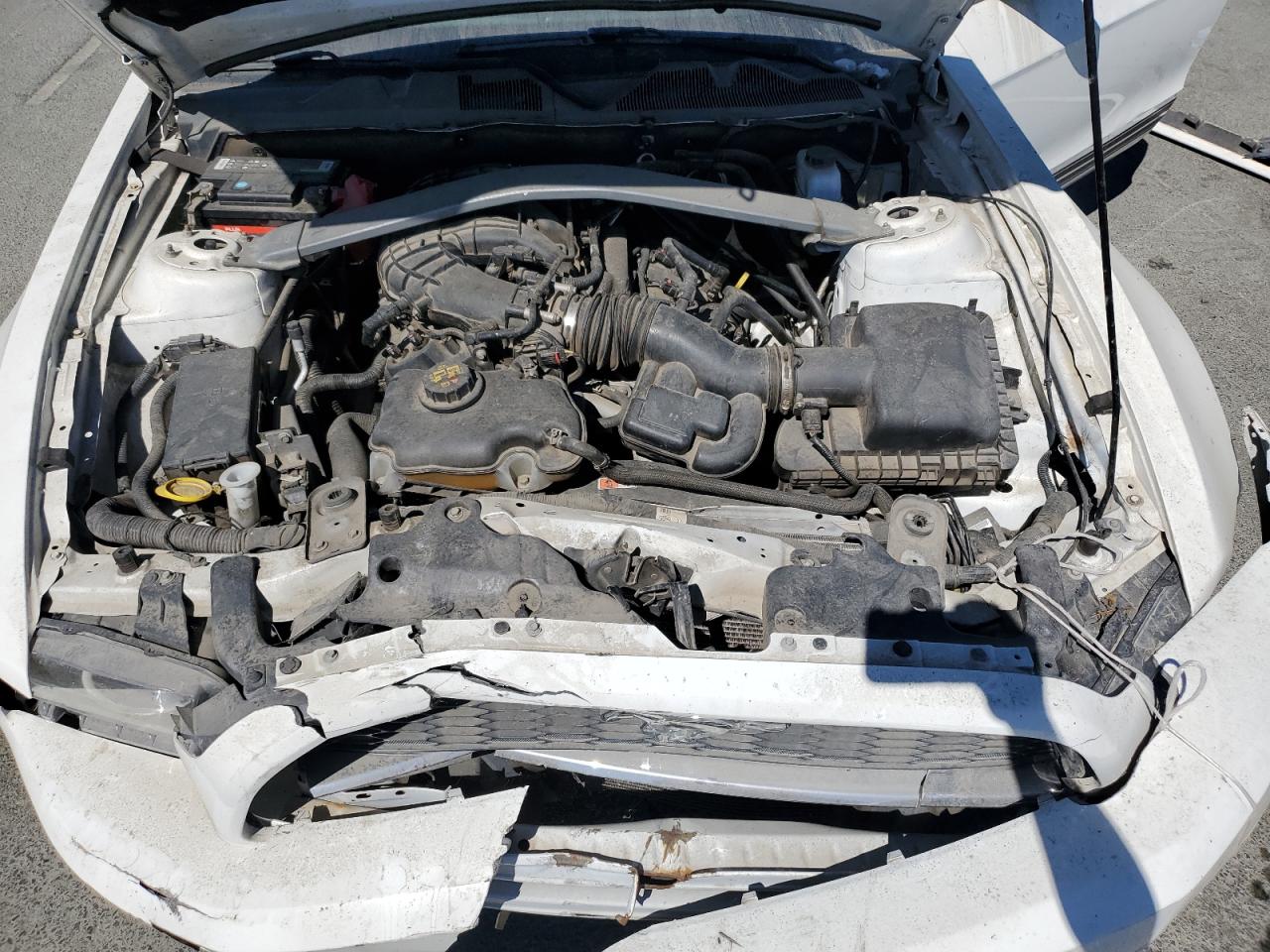 2013 Ford Mustang VIN: 1ZVBP8EM4D5239801 Lot: 69314385