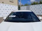 2024 MERCEDES BENZ A 180 AMG for sale at Copart CHESTER