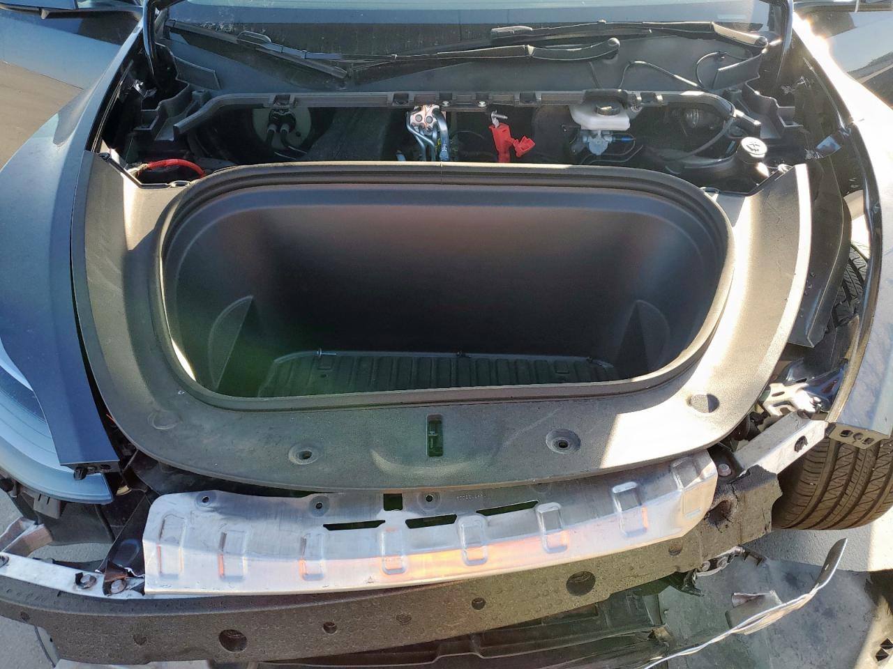 2025 Tesla Model Y VIN: 7SAYGDED7SA375924 Lot: 69317655