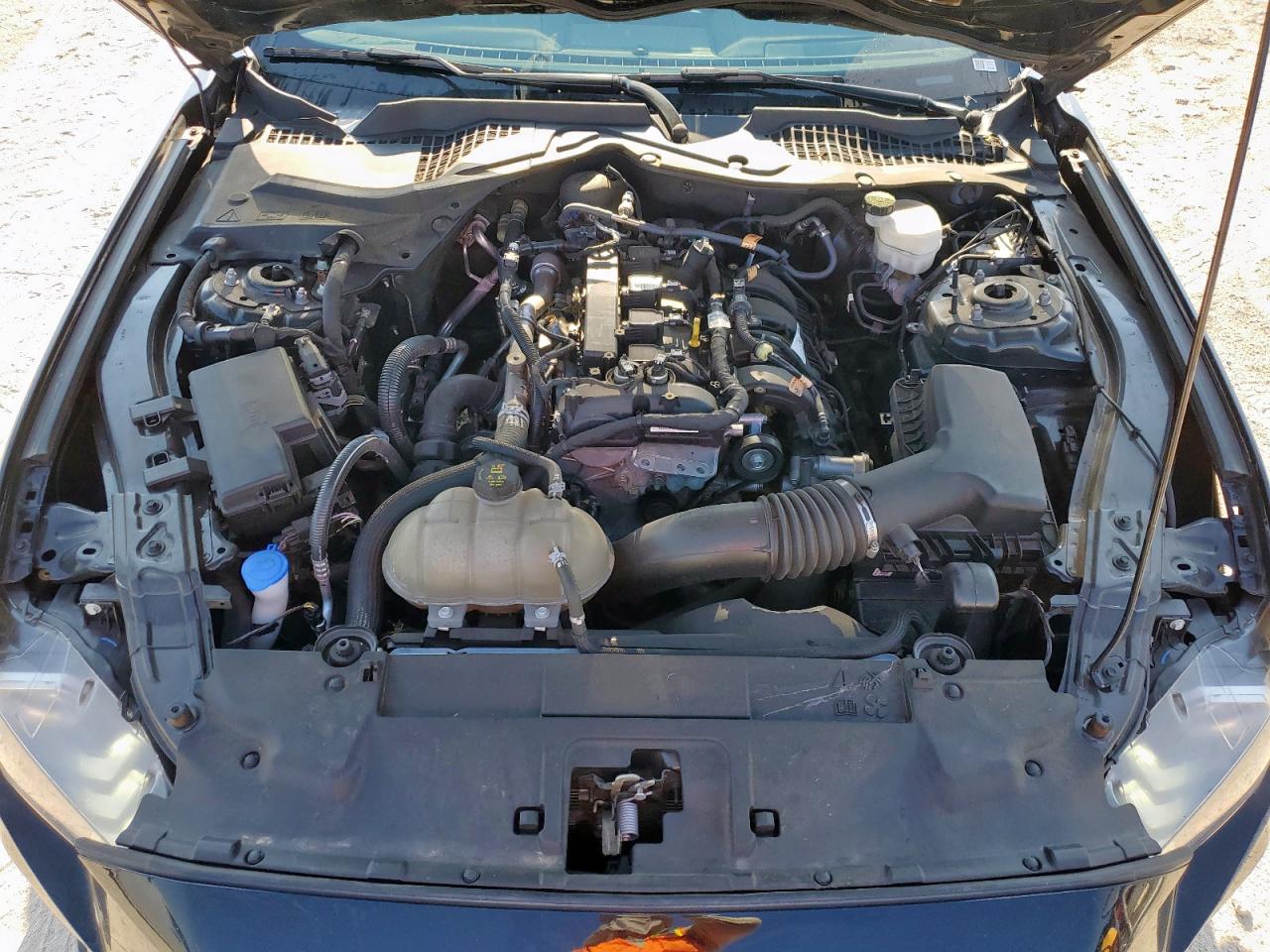 2023 Ford Mustang VIN: 1FA6P8TH0P5106814 Lot: 67833965