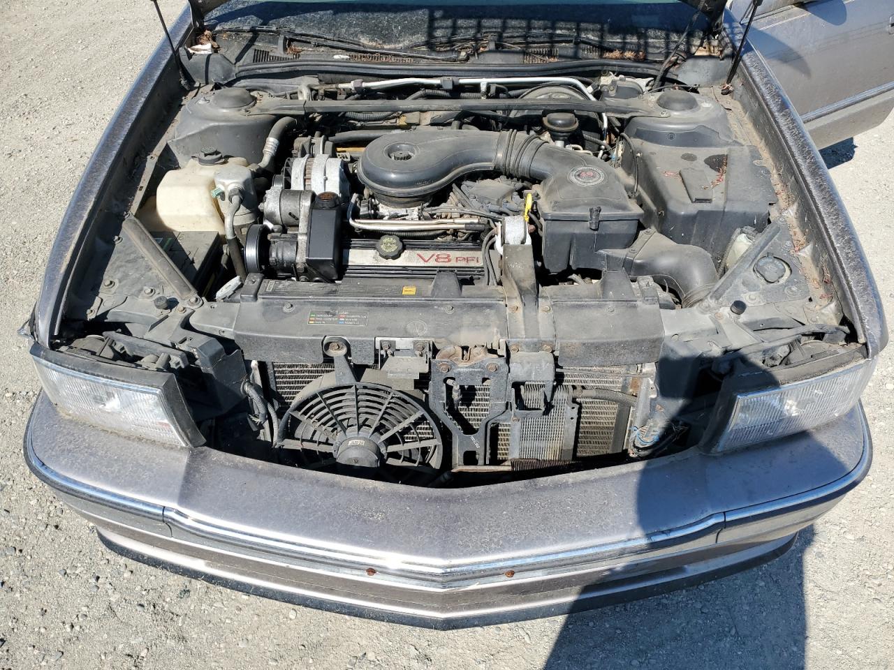 1995 Cadillac Deville VIN: 1G6KD52B5SU254116 Lot: 70059295