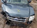 2011 FORD ESCAPE XLT   à vendre chez Copart ON - LONDON